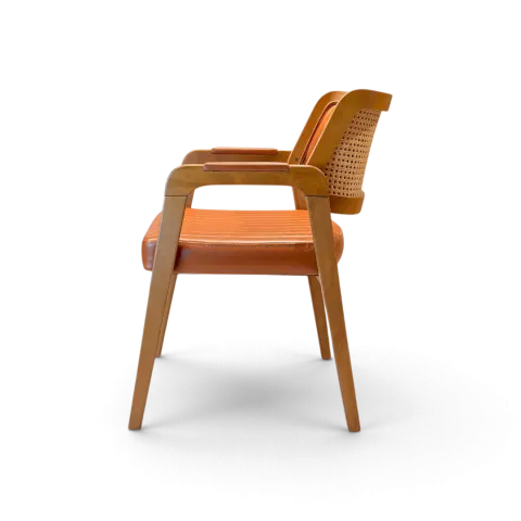Olivya Cane Chair