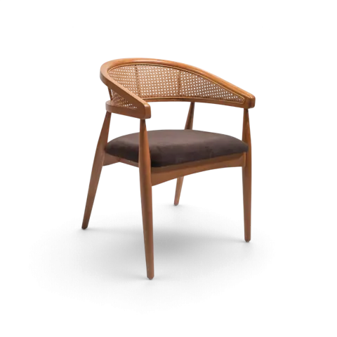 Tiger with Cane Webbing Chair